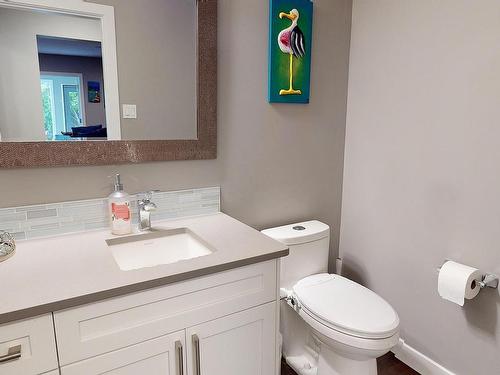 8611 Buena Vista Road, Edmonton, AB - Indoor Photo Showing Bathroom