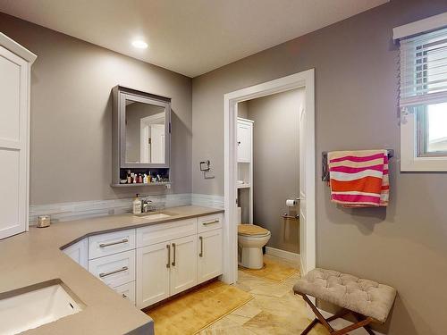 8611 Buena Vista Road, Edmonton, AB - Indoor Photo Showing Bathroom