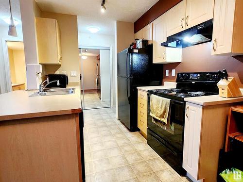 421 13907 136 Street, Edmonton, AB - Indoor Photo Showing Kitchen