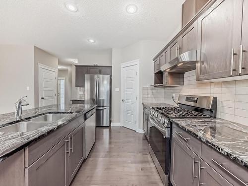 3855 170 Avenue, Edmonton, AB - Indoor Photo Showing Kitchen With Stainless Steel Kitchen With Double Sink With Upgraded Kitchen