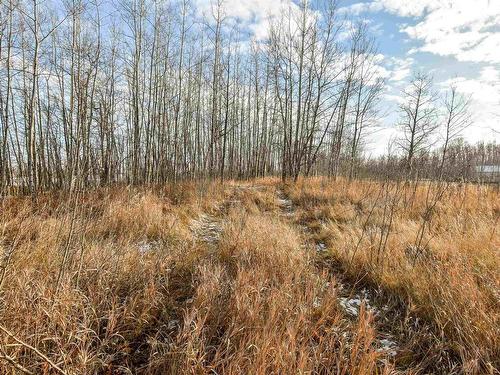 50, 54222 Rge Rd 25, Rural Lac Ste. Anne County, AB - Outdoor With View