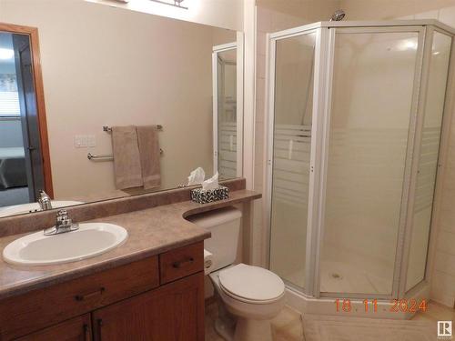 47 Arcand Drive, St. Albert, AB - Indoor Photo Showing Bathroom