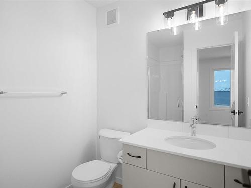 22829 84 Avenue, Edmonton, AB - Indoor Photo Showing Bathroom