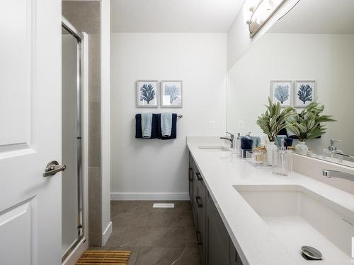 21312 38 Avenue, Edmonton, AB - Indoor Photo Showing Bathroom