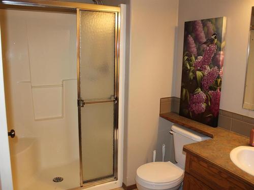 5314 52 Avenue, Elk Point, AB - Indoor Photo Showing Bathroom