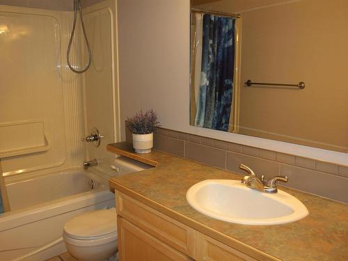 5314 52 Avenue, Elk Point, AB - Indoor Photo Showing Bathroom