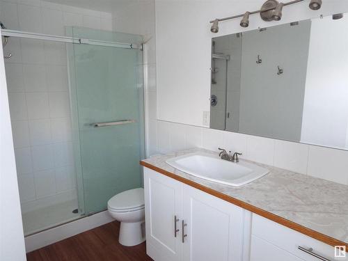 49548 Rge Road 224, Rural Leduc County, AB - Indoor Photo Showing Bathroom