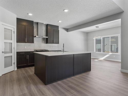 1311 16 Street, Edmonton, AB - Indoor Photo Showing Kitchen With Upgraded Kitchen