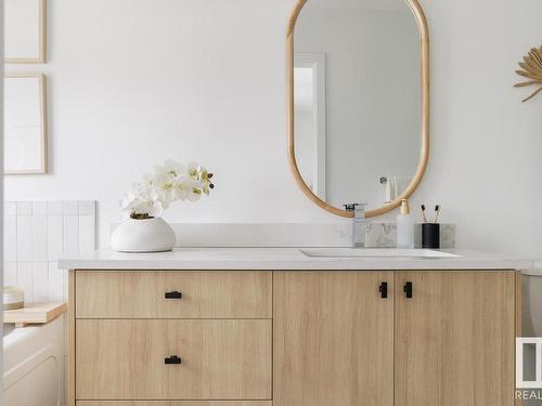 4036 208 Street, Edmonton, AB - Indoor Photo Showing Bathroom