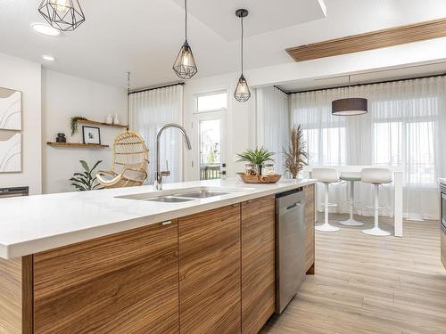 4036 208 Street, Edmonton, AB - Indoor Photo Showing Kitchen With Double Sink