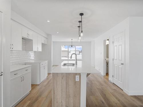 147 Jennifer Crescent, St. Albert, AB - Indoor Photo Showing Kitchen With Double Sink With Upgraded Kitchen