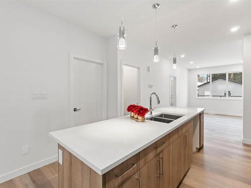 11331 103 Street, Edmonton, AB - Indoor Photo Showing Kitchen With Double Sink