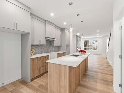 11331 103 Street, Edmonton, AB - Indoor Photo Showing Kitchen With Double Sink With Upgraded Kitchen