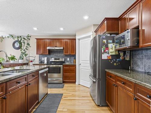 17632 87 Street, Edmonton, AB - Indoor Photo Showing Kitchen With Double Sink