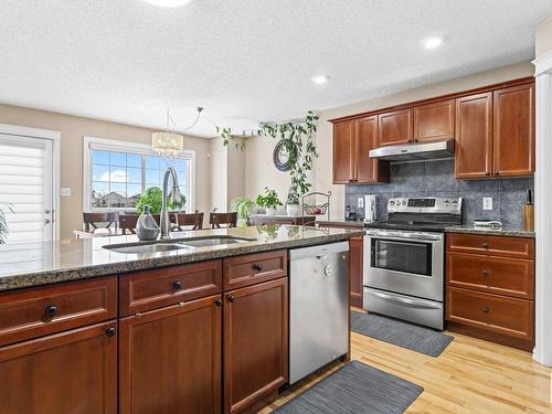 17632 87 Street, Edmonton, AB - Indoor Photo Showing Kitchen With Double Sink