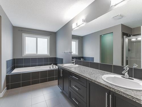 21932 97 Avenue, Edmonton, AB - Indoor Photo Showing Bathroom