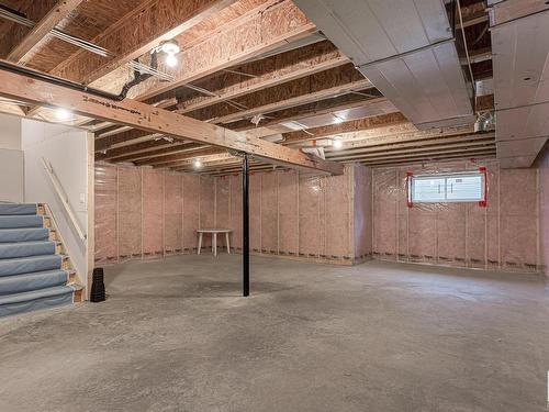 21932 97 Avenue, Edmonton, AB - Indoor Photo Showing Basement