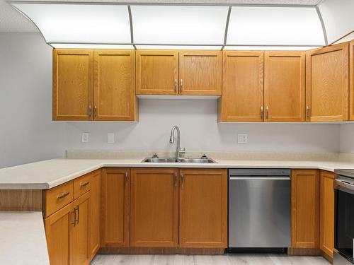 103 11915 106 Avenue, Edmonton, AB - Indoor Photo Showing Kitchen With Double Sink