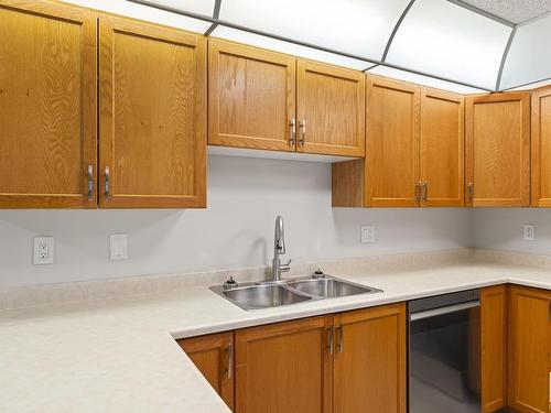 103 11915 106 Avenue, Edmonton, AB - Indoor Photo Showing Kitchen With Double Sink