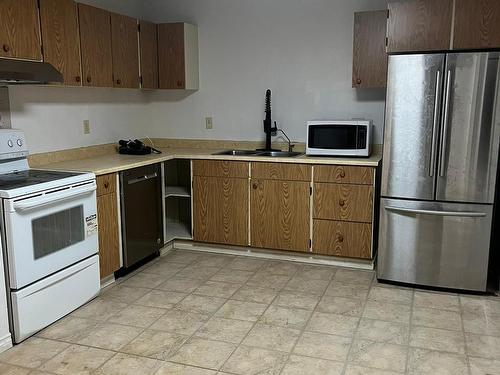 18609 95A Avenue, Edmonton, AB - Indoor Photo Showing Kitchen With Double Sink