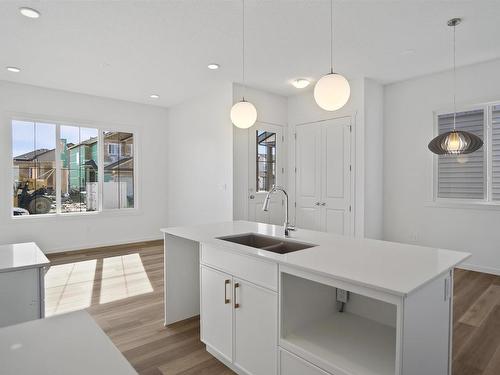 20507 42 Avenue, Edmonton, AB - Indoor Photo Showing Kitchen With Double Sink