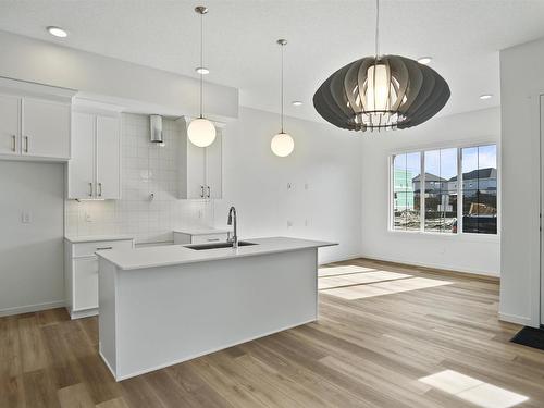 20507 42 Avenue, Edmonton, AB - Indoor Photo Showing Kitchen With Upgraded Kitchen