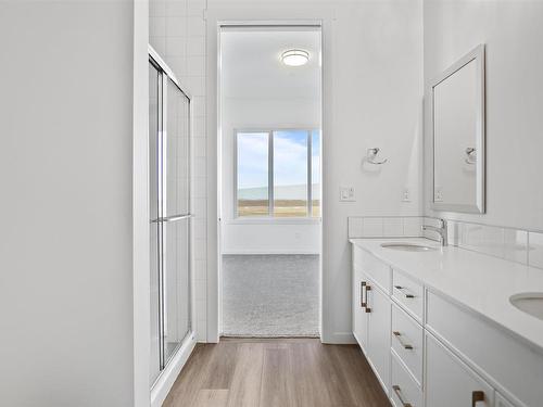 20507 42 Avenue, Edmonton, AB - Indoor Photo Showing Bathroom