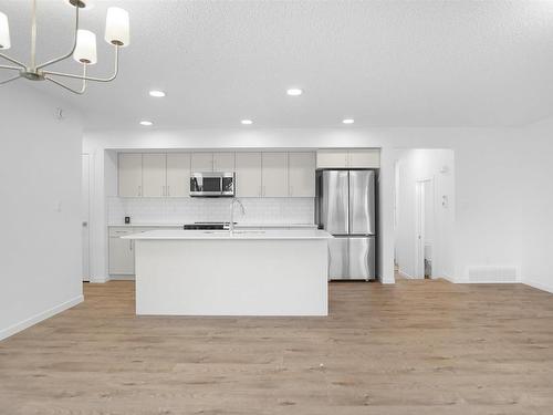 30 905 172 Street, Edmonton, AB - Indoor Photo Showing Kitchen