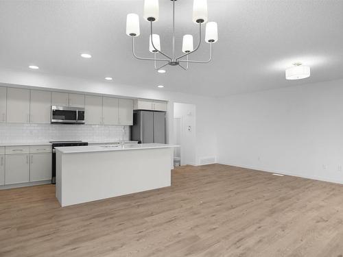 30 905 172 Street, Edmonton, AB - Indoor Photo Showing Kitchen