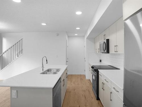 30 905 172 Street, Edmonton, AB - Indoor Photo Showing Kitchen With Double Sink With Upgraded Kitchen