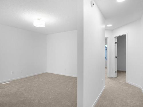 30 905 172 Street, Edmonton, AB - Indoor Photo Showing Other Room