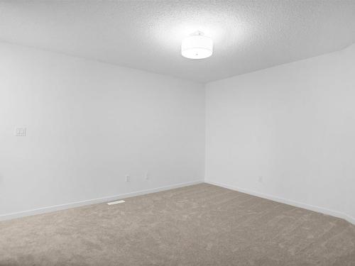 30 905 172 Street, Edmonton, AB - Indoor Photo Showing Other Room