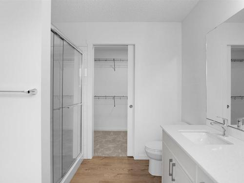 30 905 172 Street, Edmonton, AB - Indoor Photo Showing Bathroom