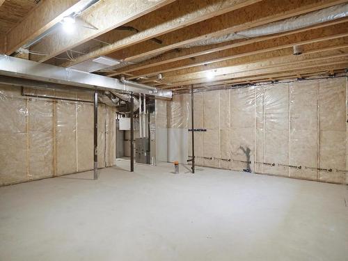 30 905 172 Street, Edmonton, AB - Indoor Photo Showing Basement