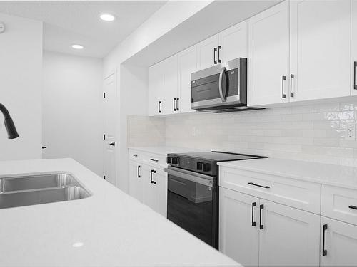 17 905 172 Street, Edmonton, AB - Indoor Photo Showing Kitchen With Double Sink