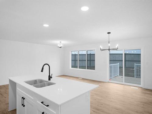 17 905 172 Street, Edmonton, AB - Indoor Photo Showing Kitchen With Double Sink