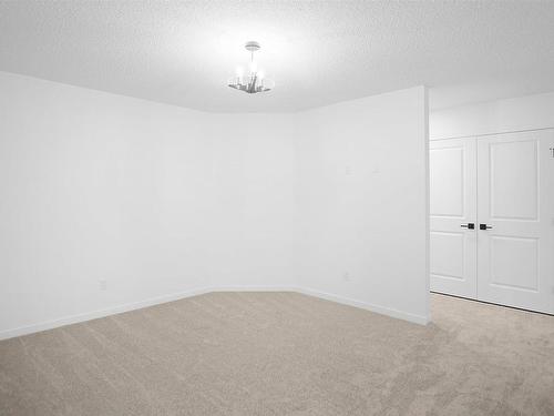 17 905 172 Street, Edmonton, AB - Indoor Photo Showing Other Room