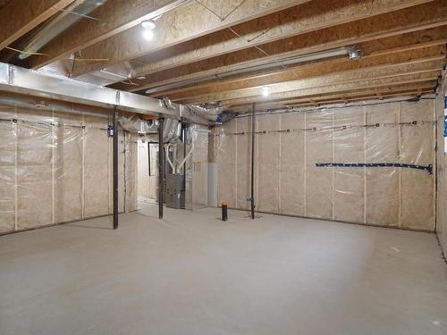 17 905 172 Street, Edmonton, AB - Indoor Photo Showing Basement