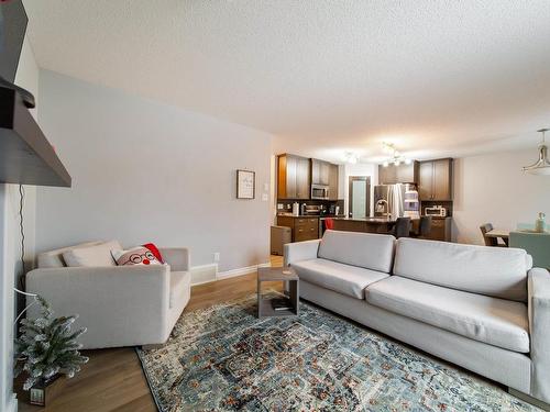 20740 96 Avenue, Edmonton, AB - Indoor Photo Showing Living Room