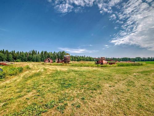 50256 Rge Rd 11, Rural Leduc County, AB 