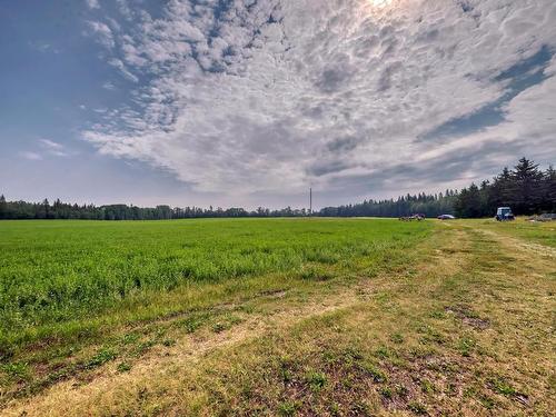 50256 Rge Rd 11, Rural Leduc County, AB 