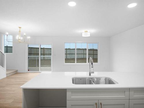 18 905 172 Street, Edmonton, AB - Indoor Photo Showing Kitchen With Double Sink