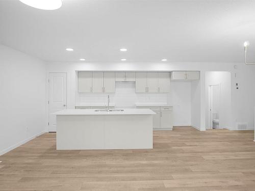 18 905 172 Street, Edmonton, AB - Indoor Photo Showing Kitchen With Double Sink