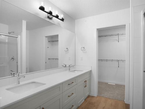 18 905 172 Street, Edmonton, AB - Indoor Photo Showing Bathroom