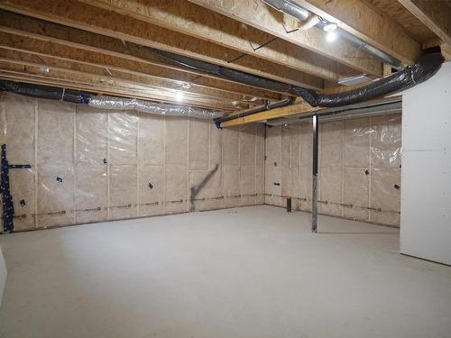 18 905 172 Street, Edmonton, AB - Indoor Photo Showing Basement