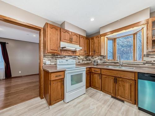 7008 157 Avenue, Edmonton, AB - Indoor Photo Showing Kitchen With Double Sink