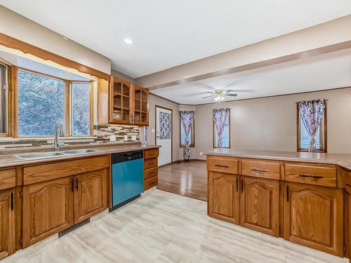 7008 157 Avenue, Edmonton, AB - Indoor Photo Showing Kitchen With Double Sink