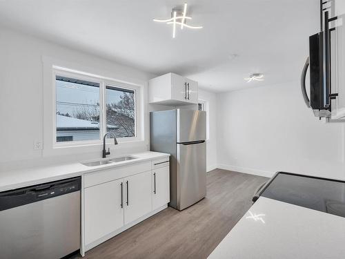 14216 58 Street, Edmonton, AB - Indoor Photo Showing Kitchen With Double Sink