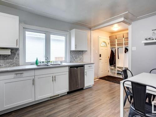 3619 111 Avenue, Edmonton, AB - Indoor Photo Showing Kitchen With Double Sink