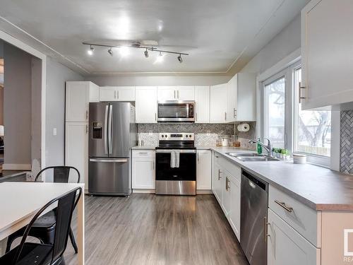 3619 111 Avenue, Edmonton, AB - Indoor Photo Showing Kitchen With Double Sink